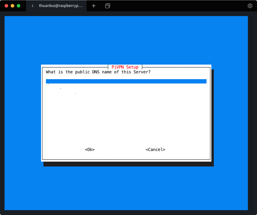 Điền vào tên miền đã thiết lập Dynamic DNS