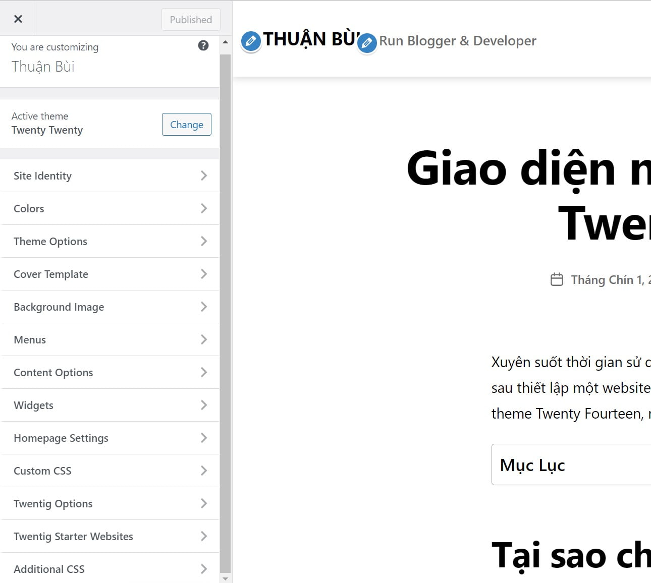 Tuỳ biến giao diện của Twenty Twenty bằng Customizer