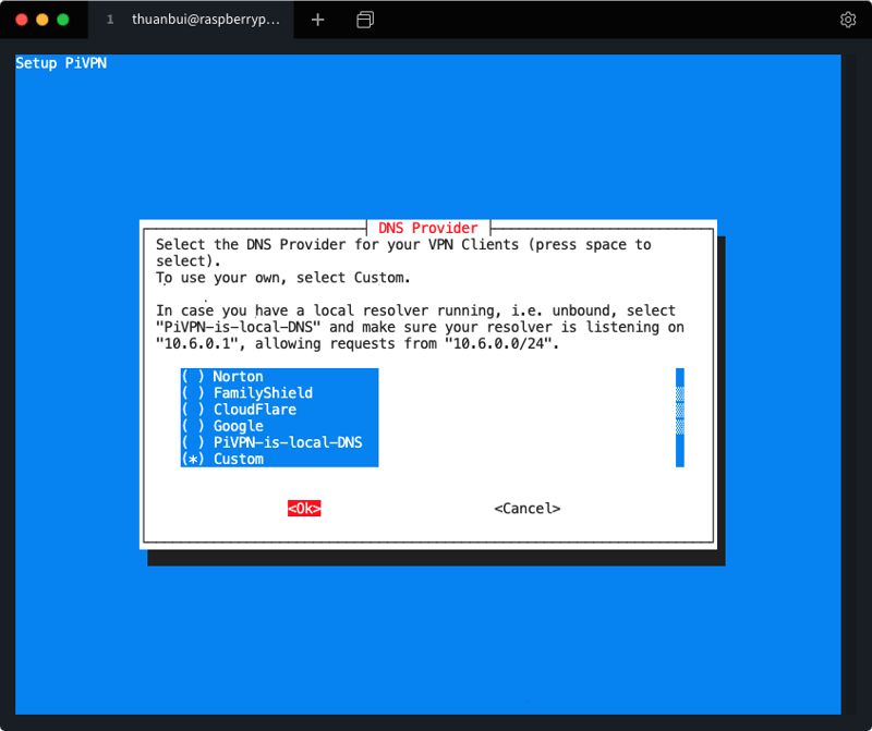 Mình chọn Custom để cấu hình DNS Server về Server đang cài AdGuard Home. Bạn có thể chọn CloudFlare nếu không có AdGuard Home / Pi-Hole trên hệ thống
